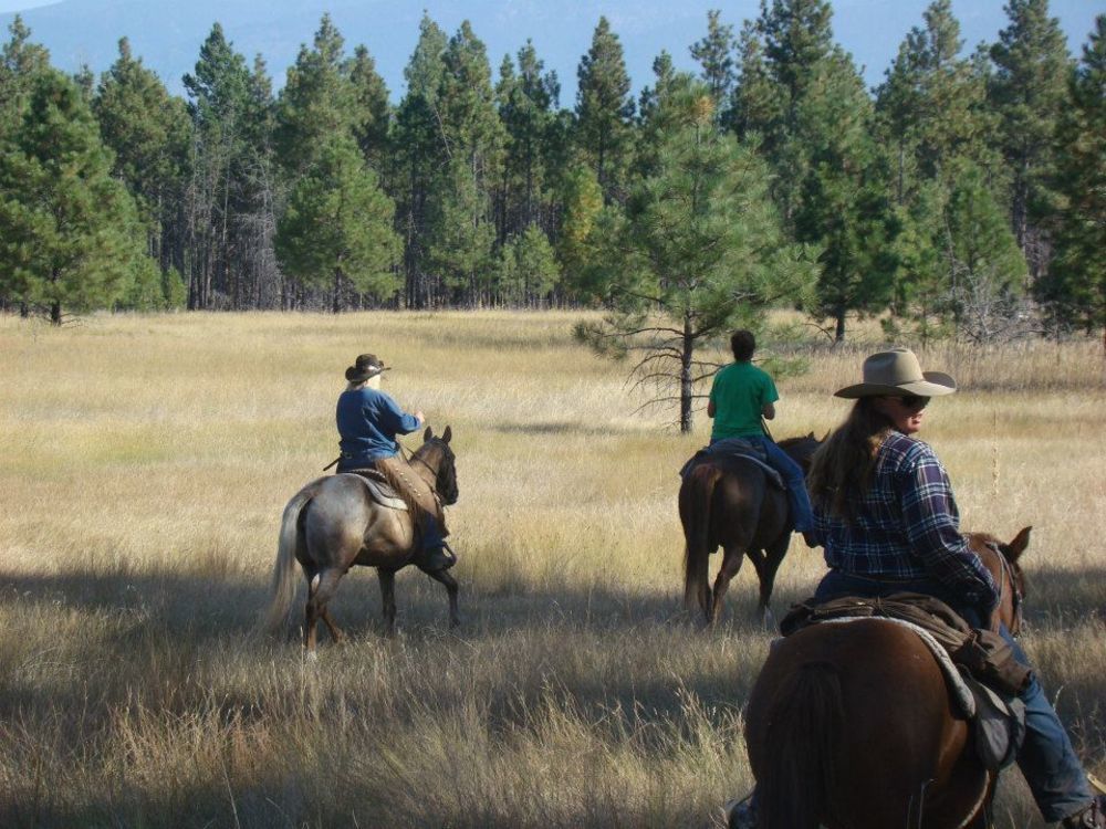 Dream Haven Guest Ranch Hotel Marion Buitenkant foto